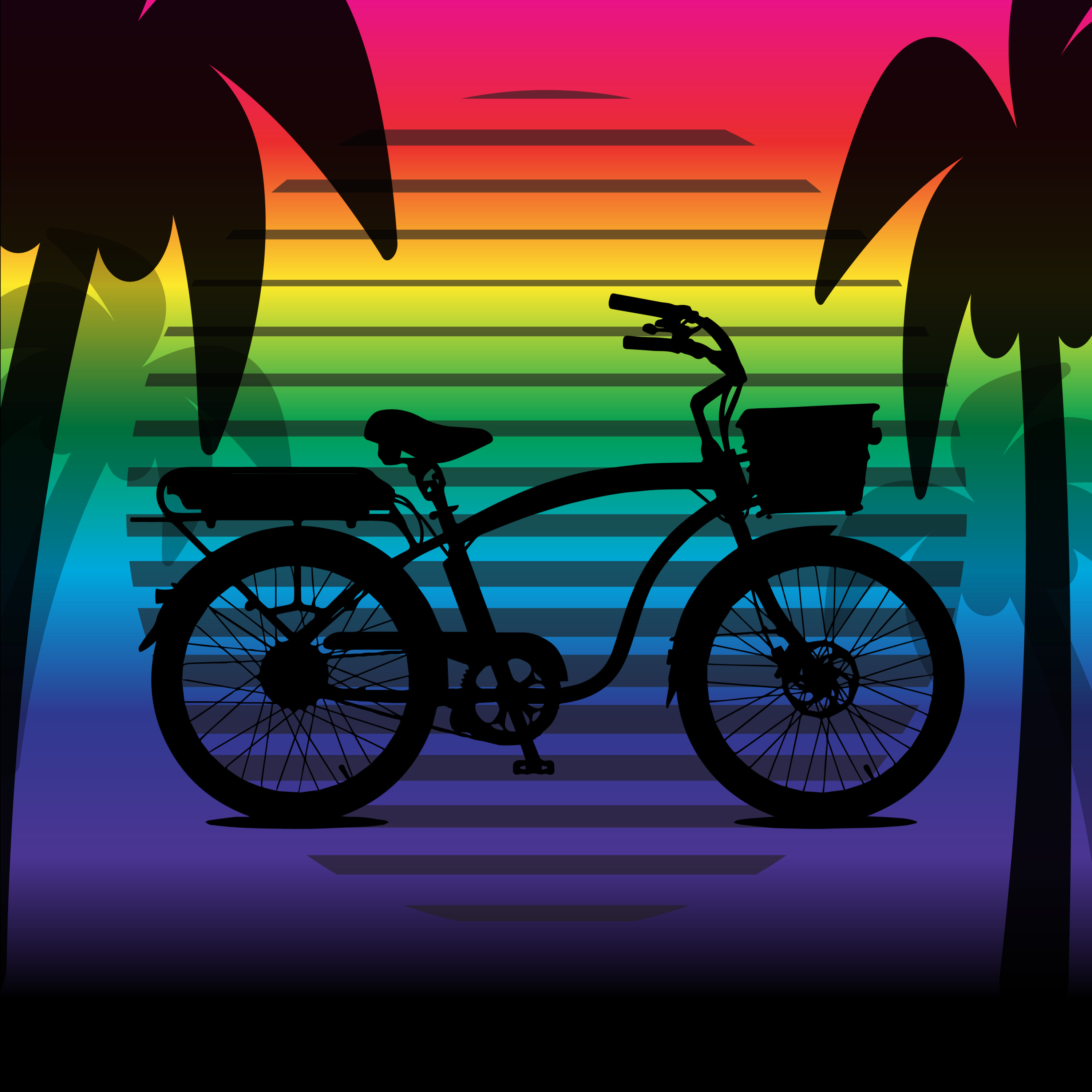 Electric Bike Radio