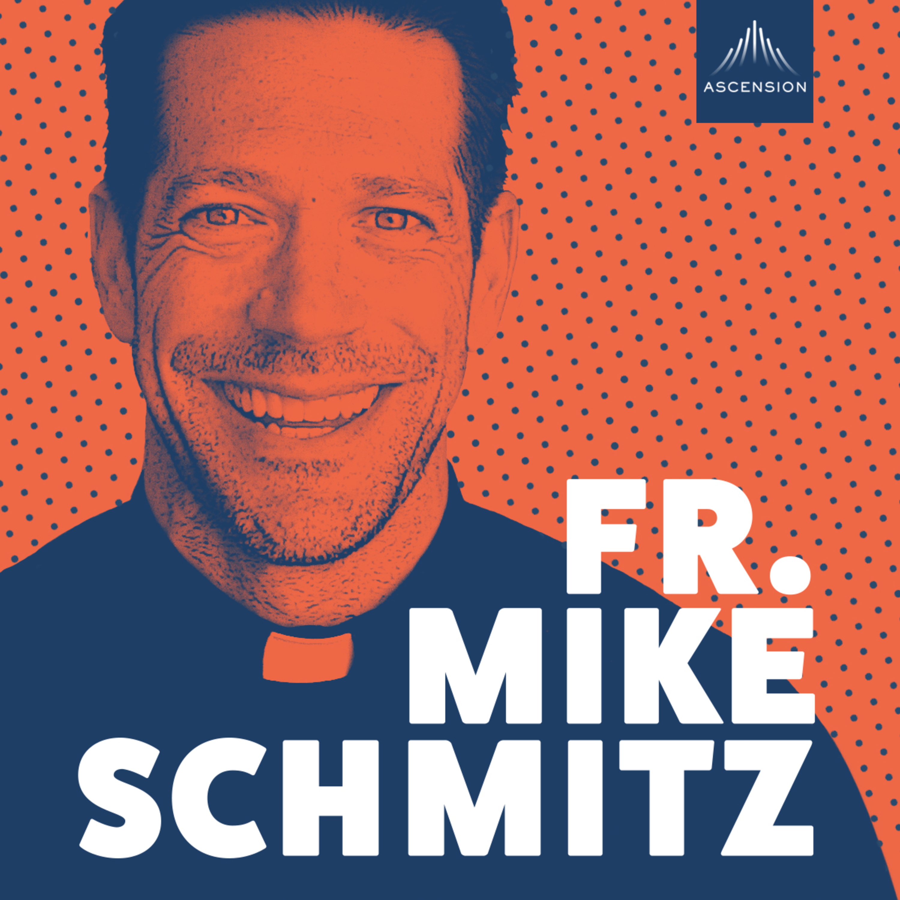 The Fr. Mike Schmitz Catholic Podcast podcast