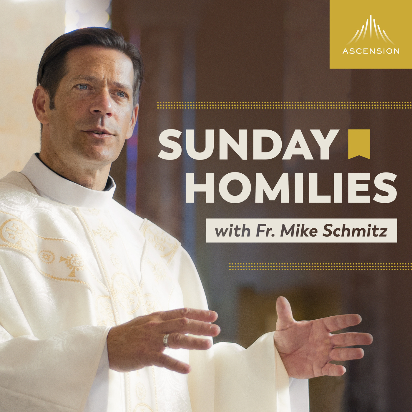 Sunday Homilies with Fr. Mike Schmitz 5/7/23 Spiritual Houses