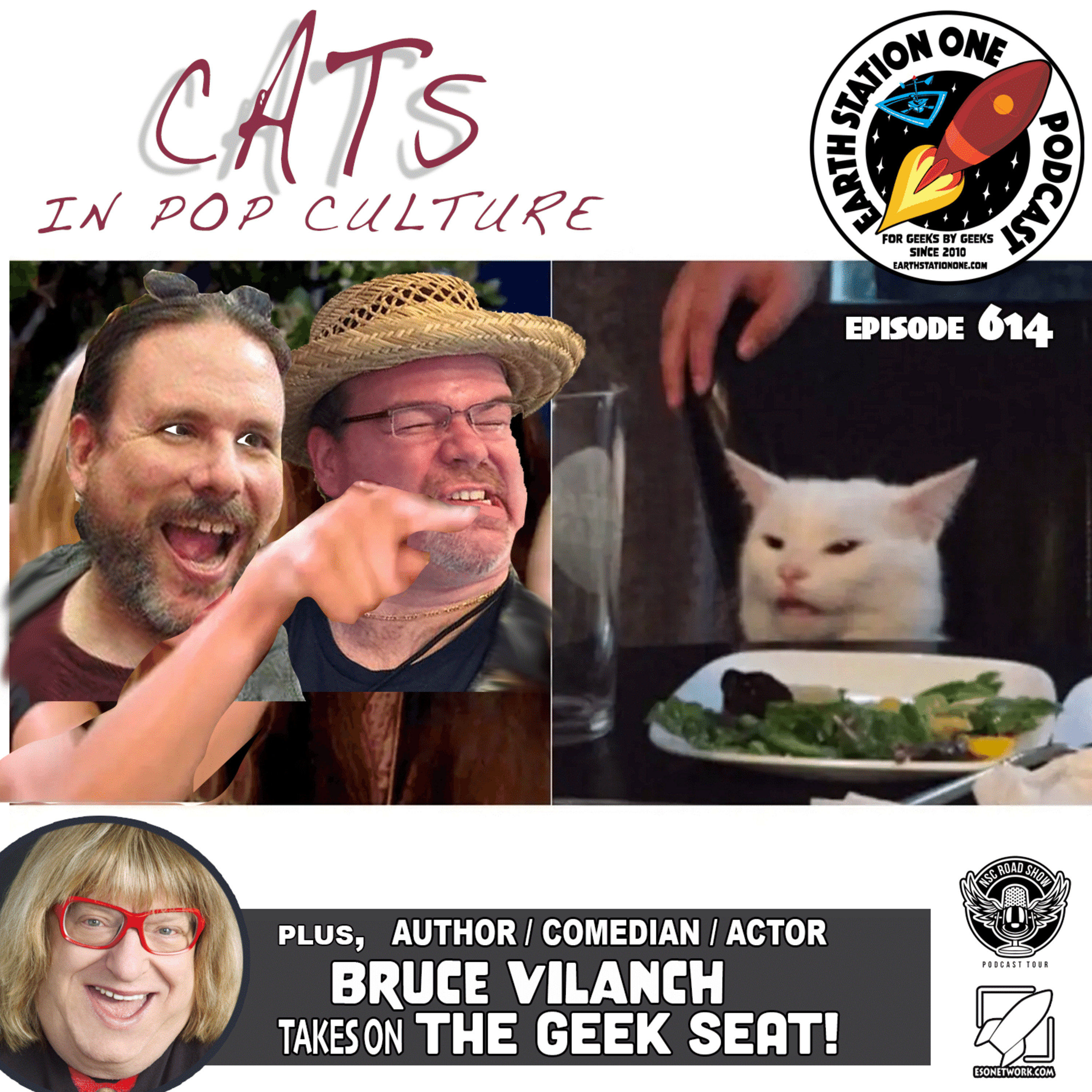 The Earth Station One Podcast  - Cats In Pop Culture