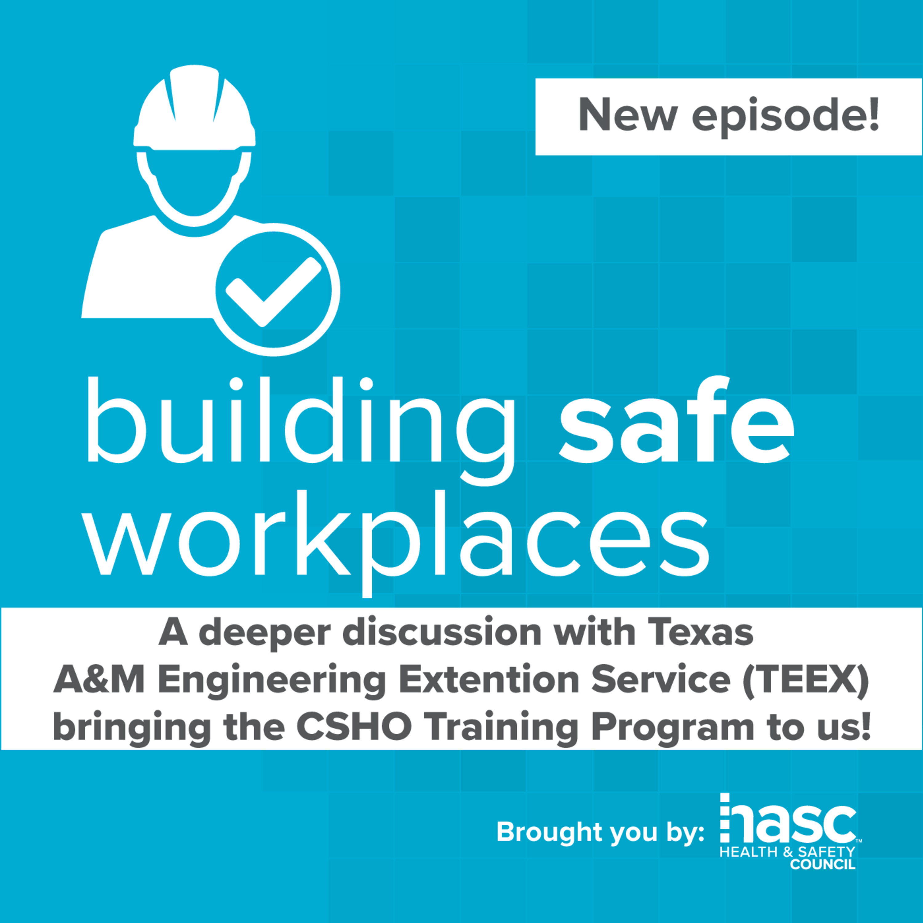 Building Safe Workplaces