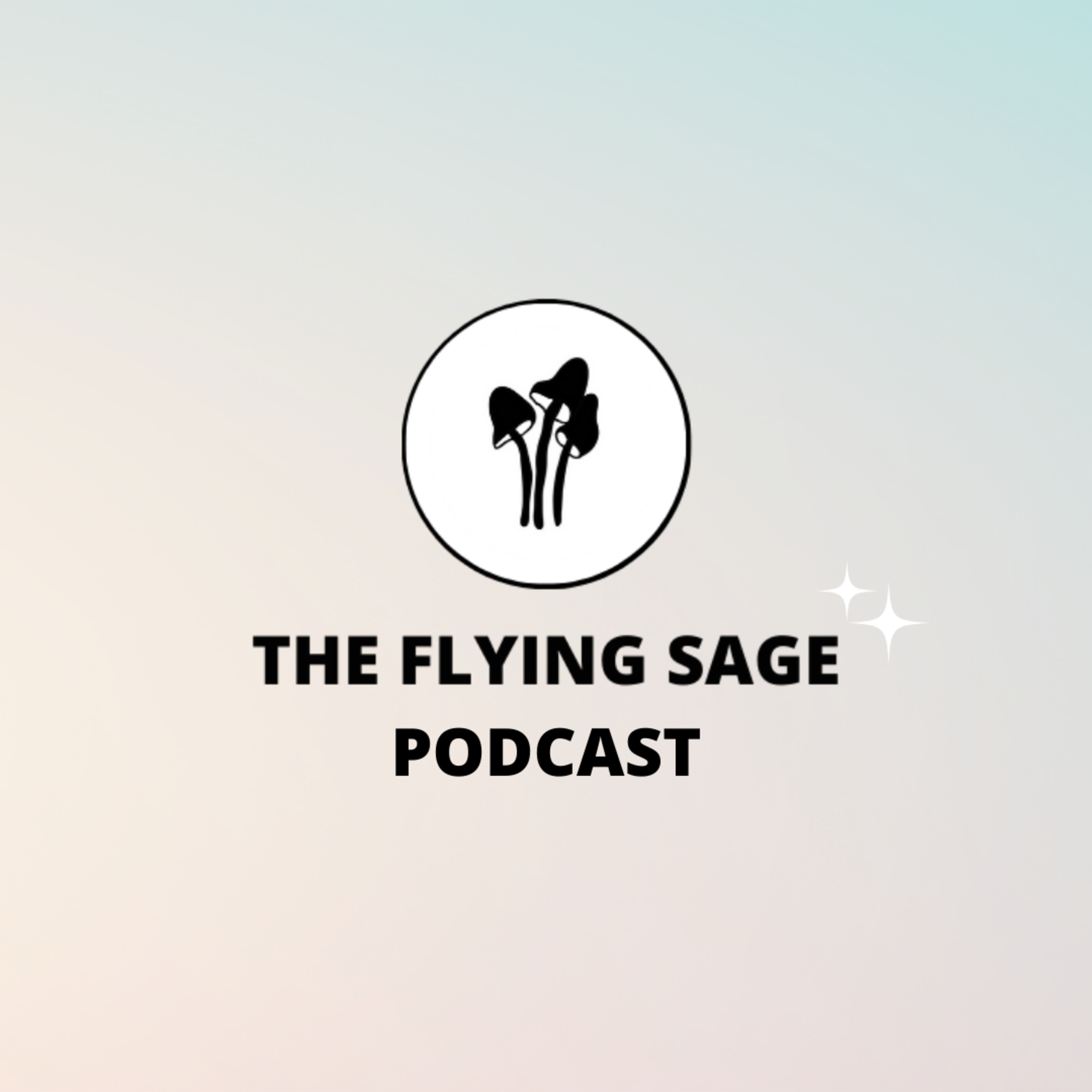 The Flying Sage Podcast