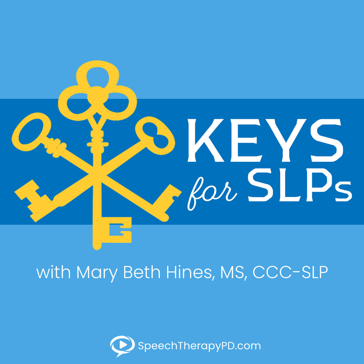Keys for SLPs 78: Keys to a Right Hemisphere Stroke Journey