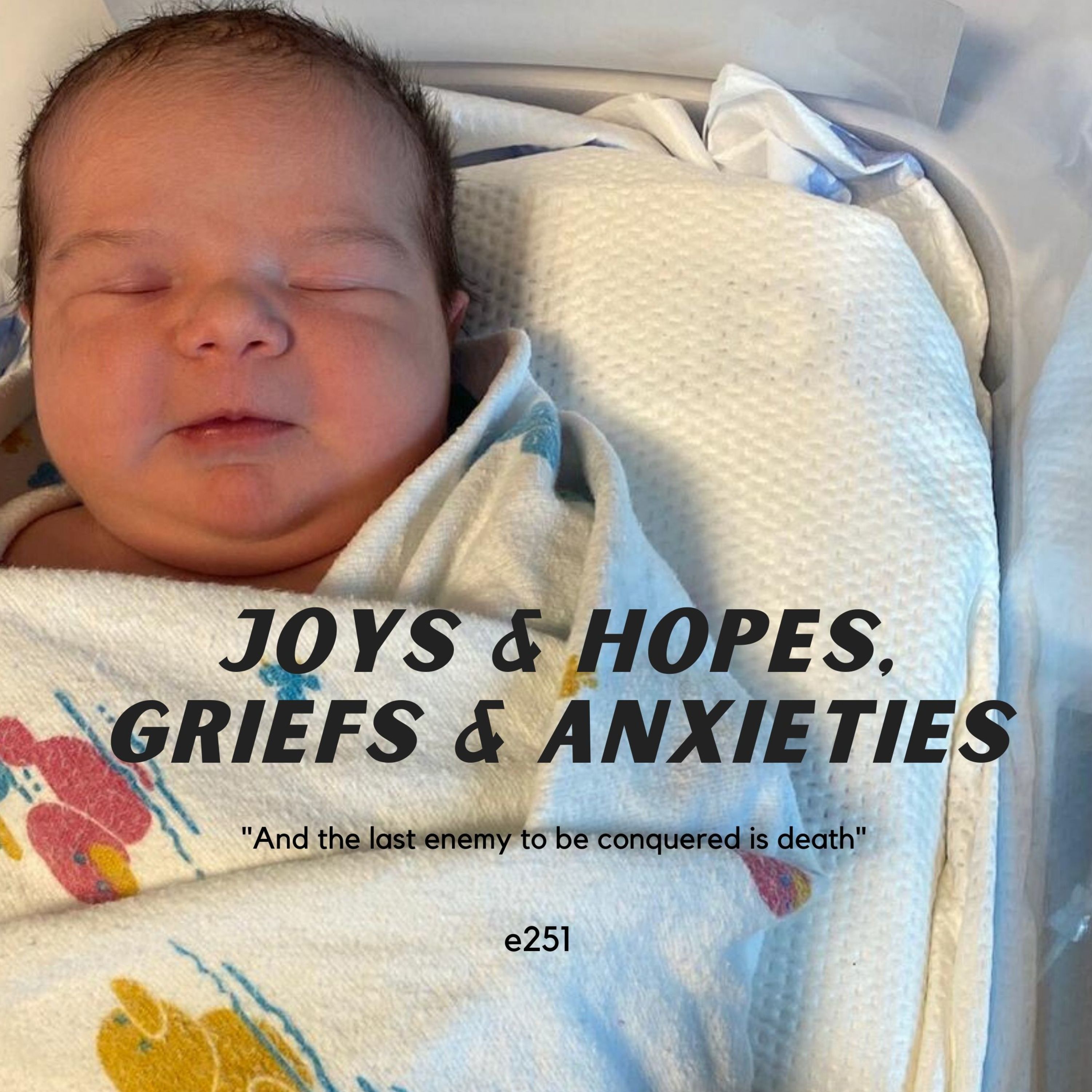 Joys and Hopes, Griefs and Anxieties