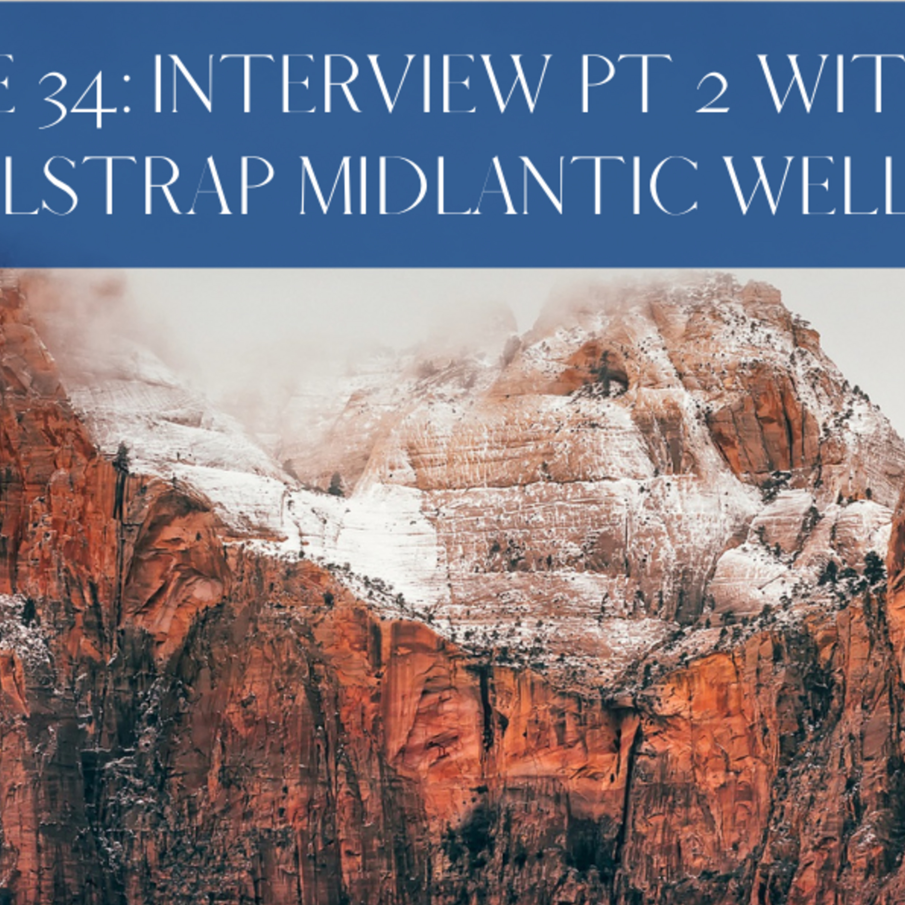Episode 34: Interview Pt 2 with Daphne Wright-Gilstrap Midlantic Wellness Center