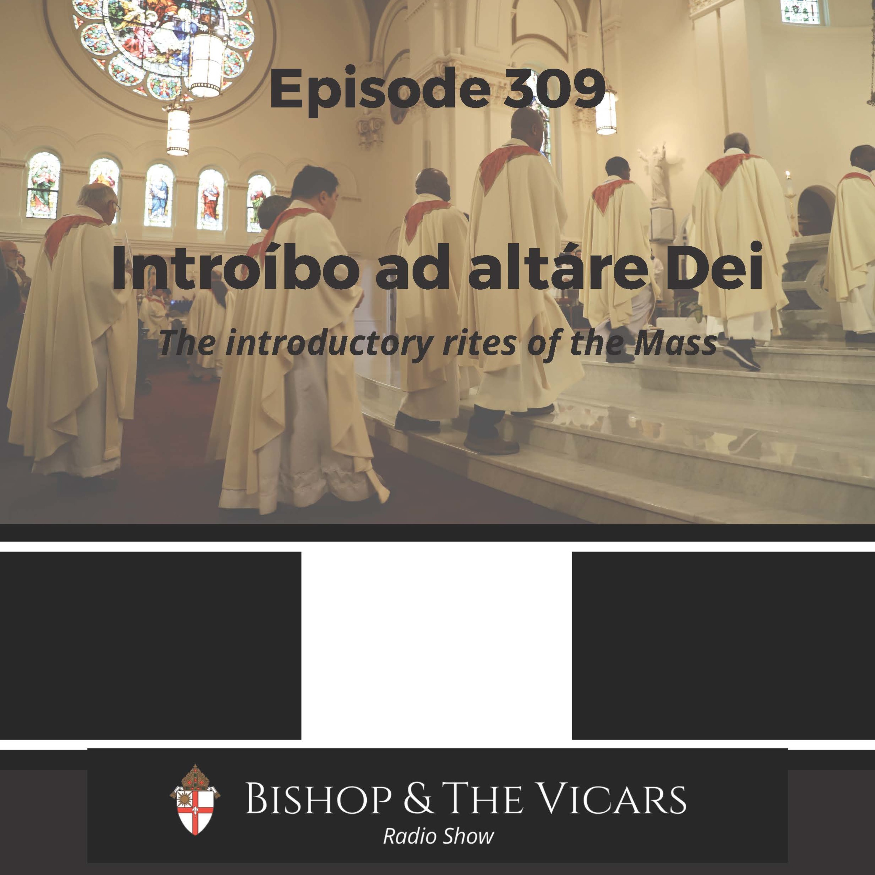 Walking in Faith with Bishop Daly