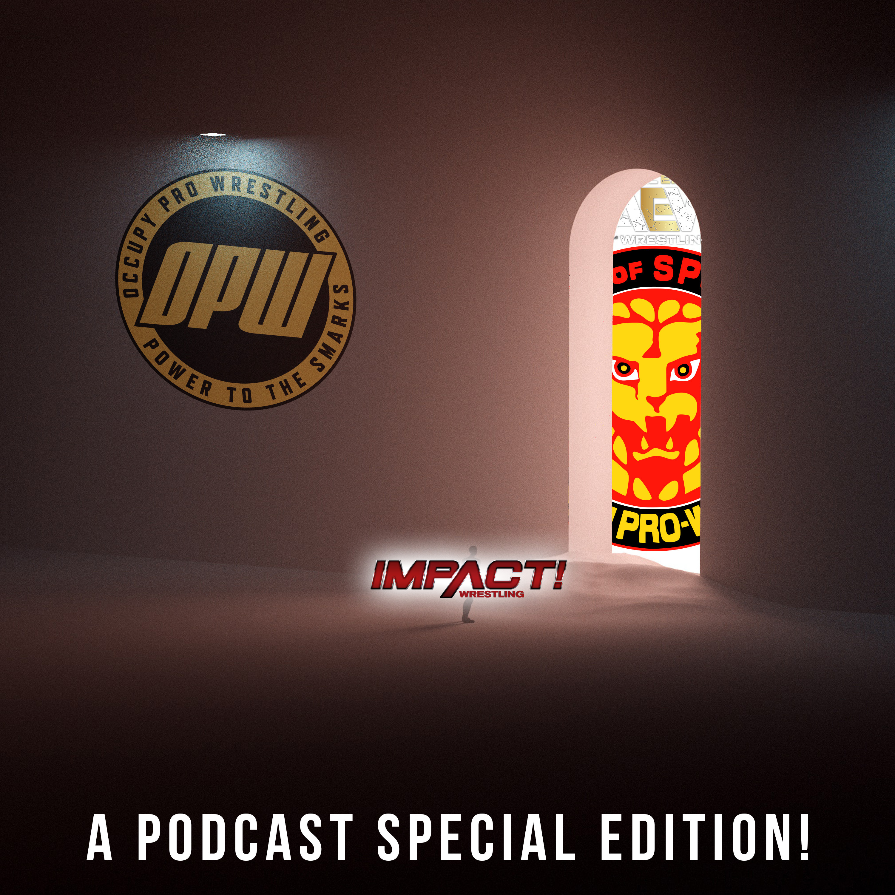 Occupy Pro Wrestling