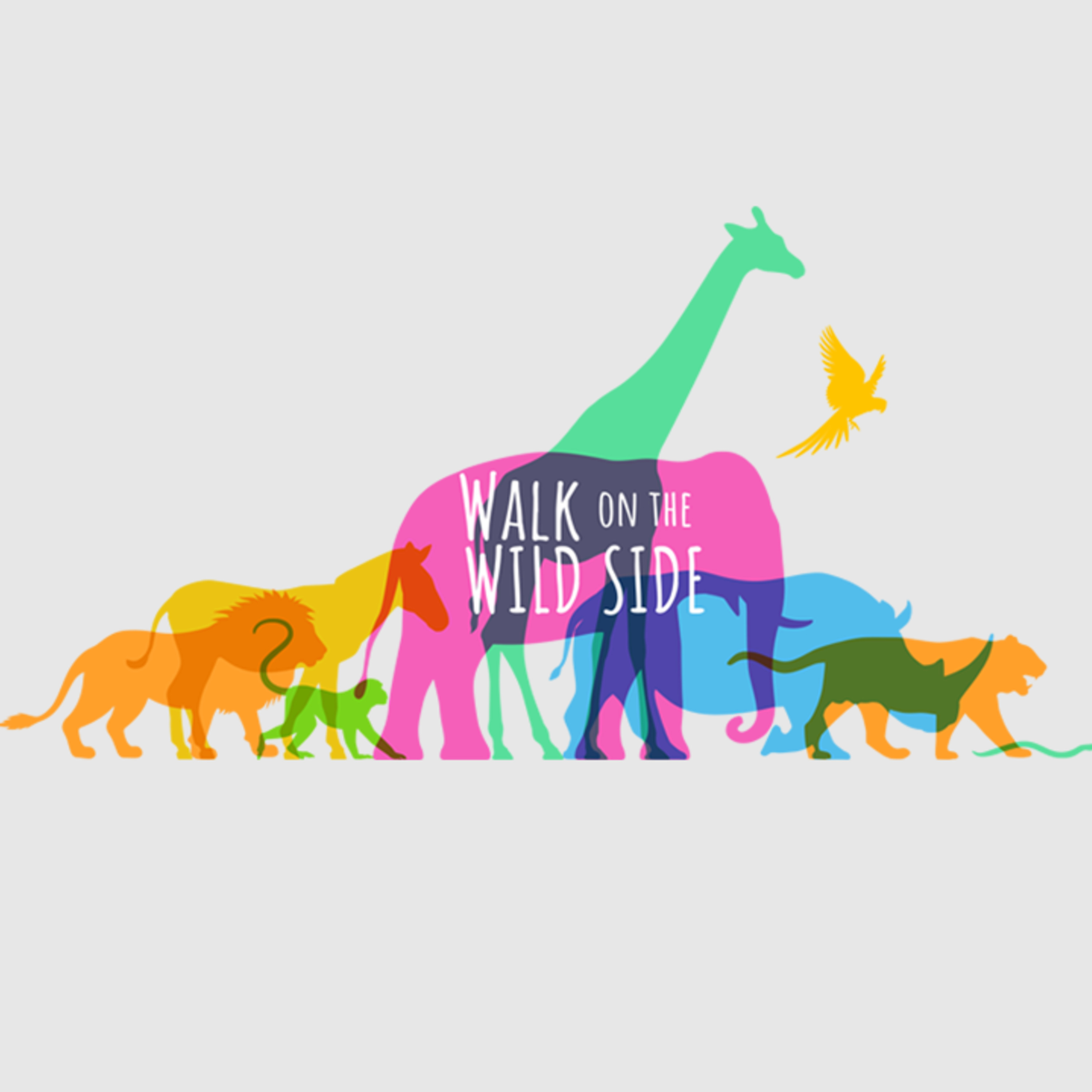 Episode 76: Walk on the Wild Side: Riding in Style | Sunday, August 2, 2020