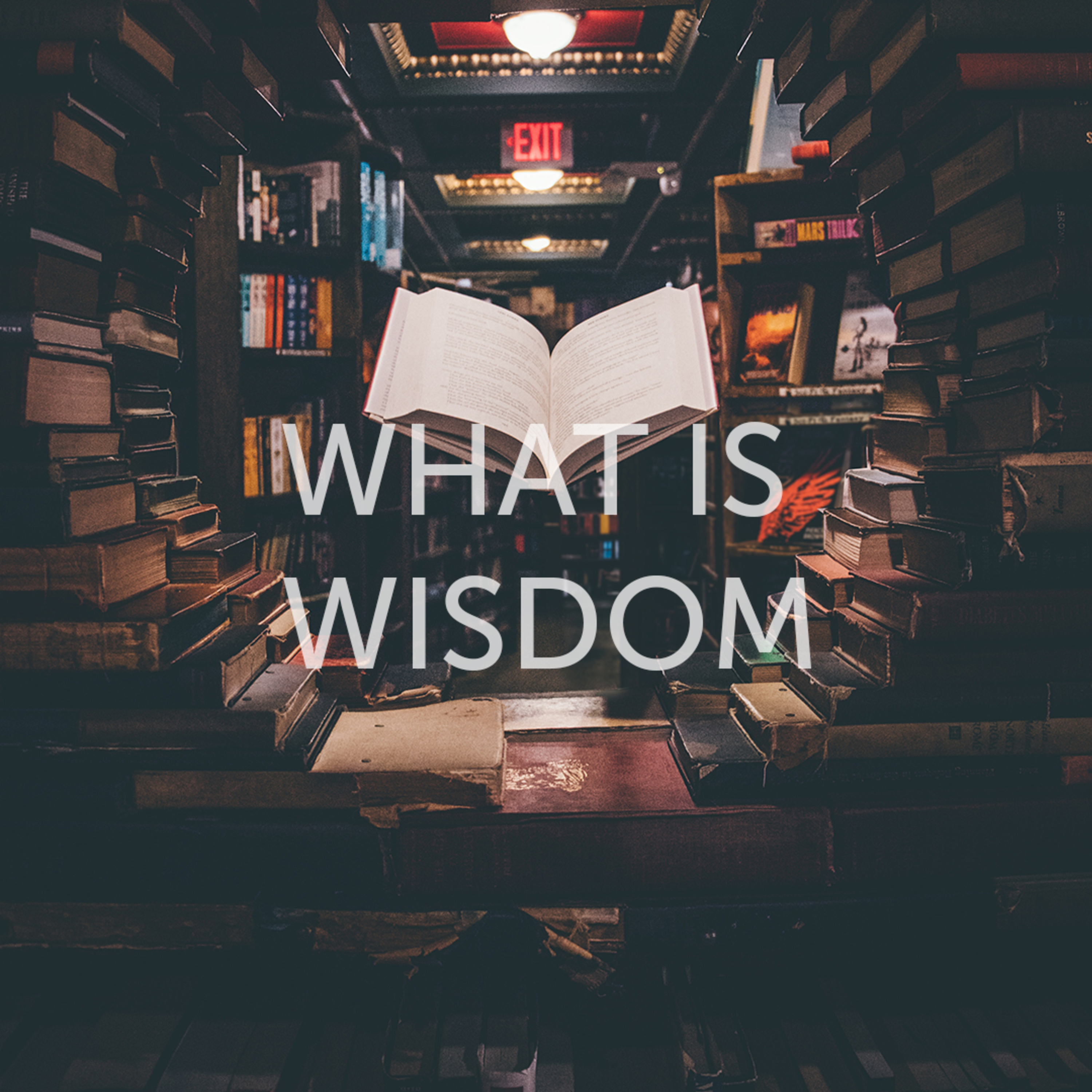 How to Study the Bible - What is Wisdom