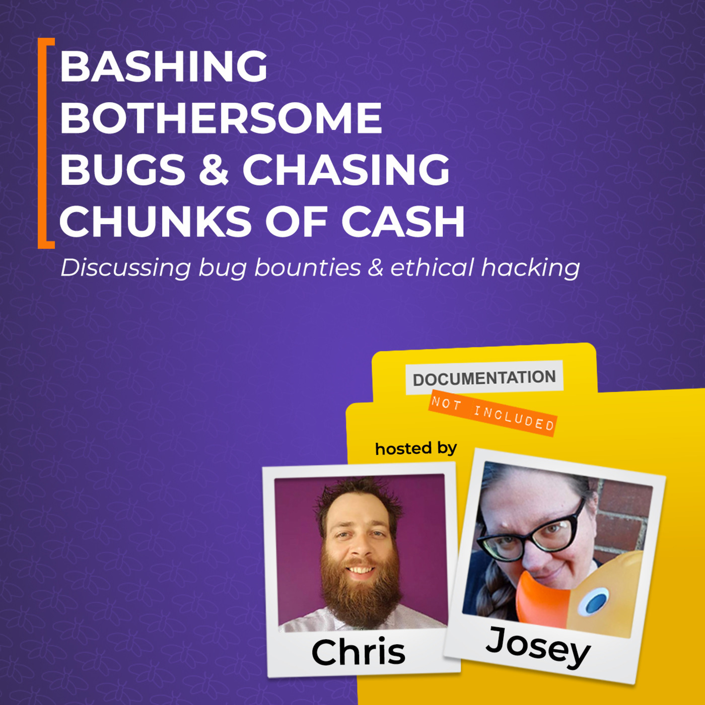 Documentation Not Included: Bashing Bothersome Bugs & Chasing Chunks of ...