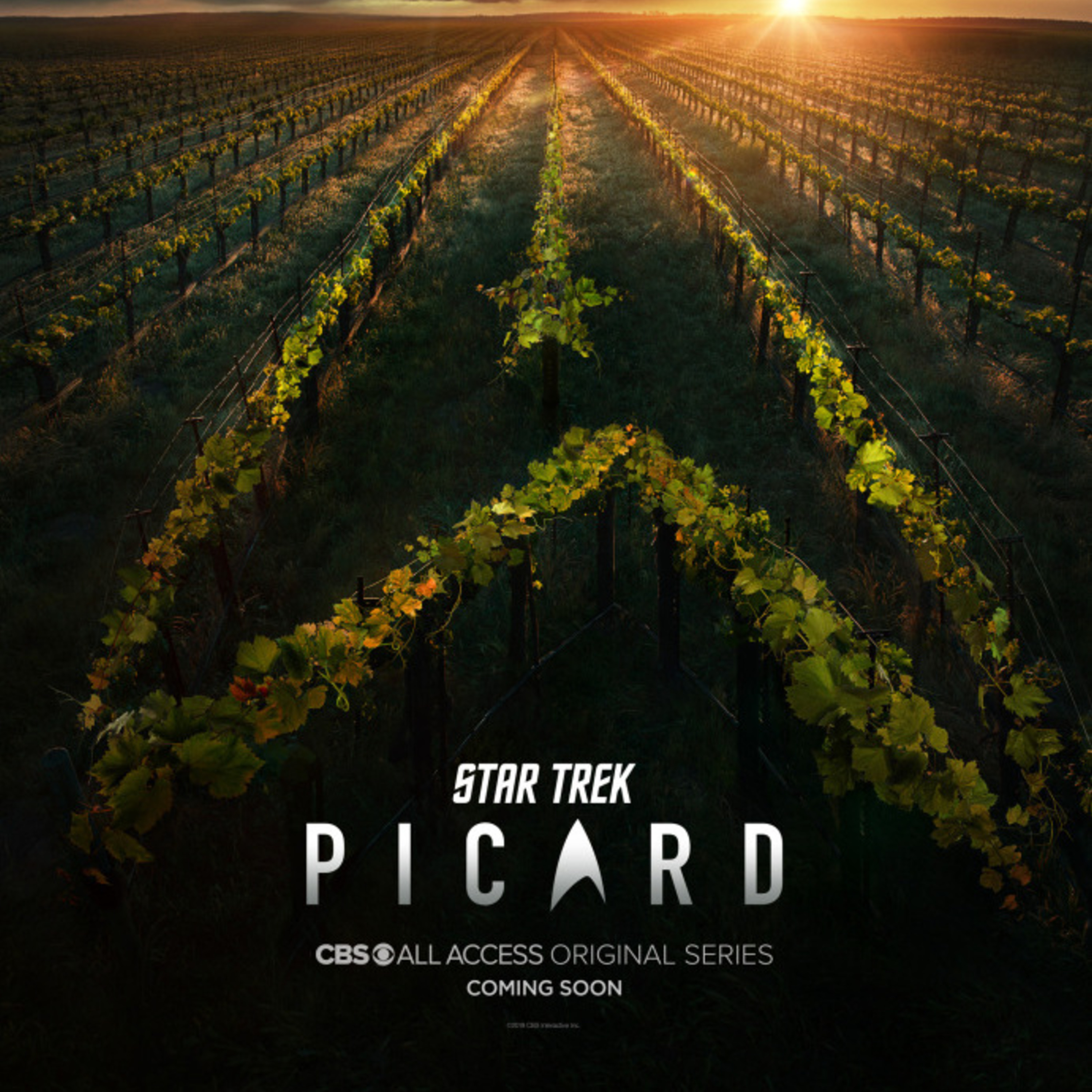 104: The Star Trek: Picard Teaser Trailer Has Me Hyped! thumbnail