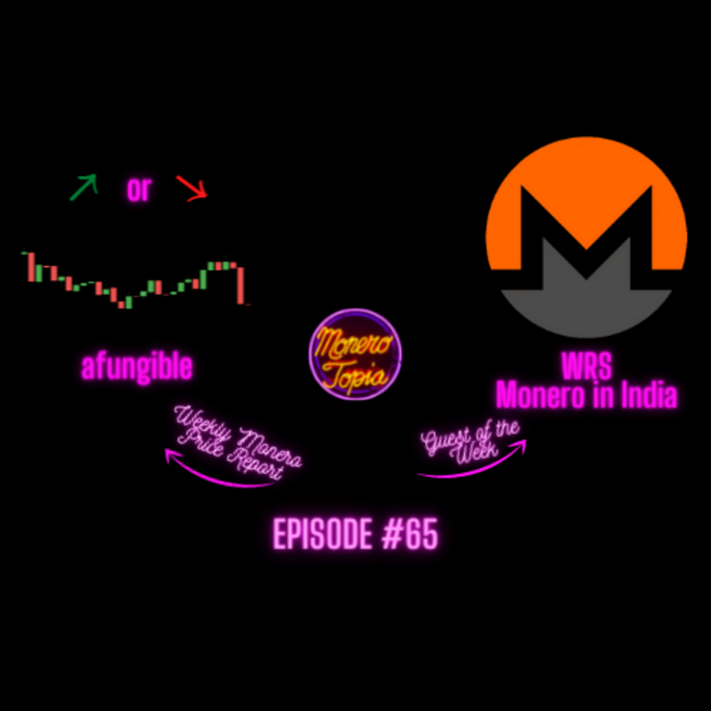 Price Report w/ aFungible, special guest WRS to chat about Monero in India! Epi #65