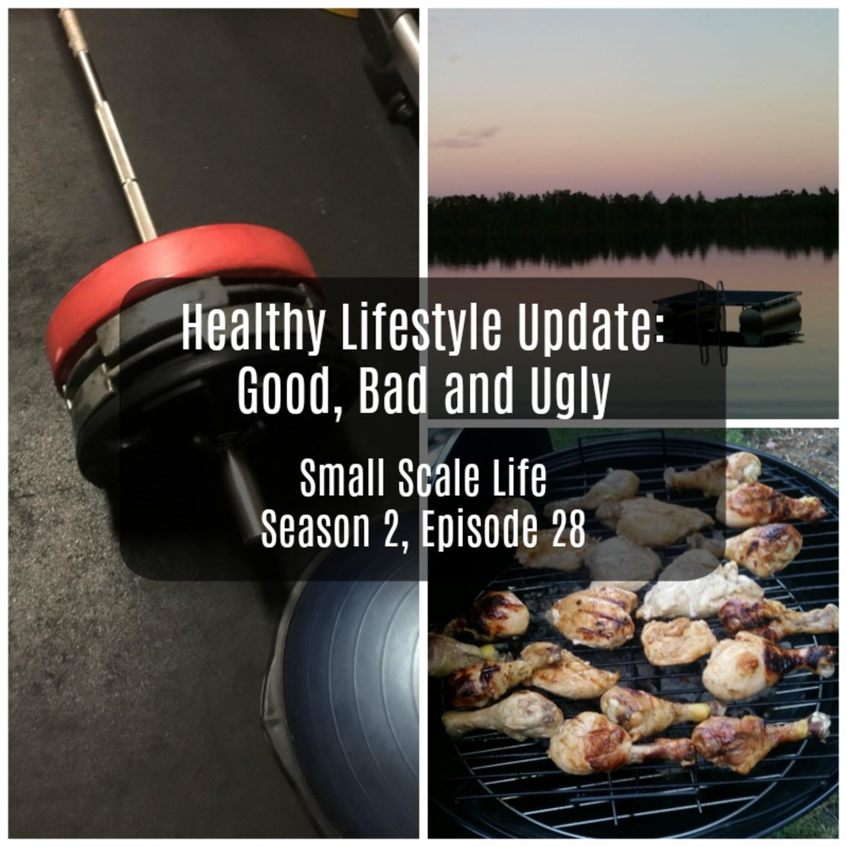 Healthy Lifestyle Update: Good, Bad and Ugly - S2E28