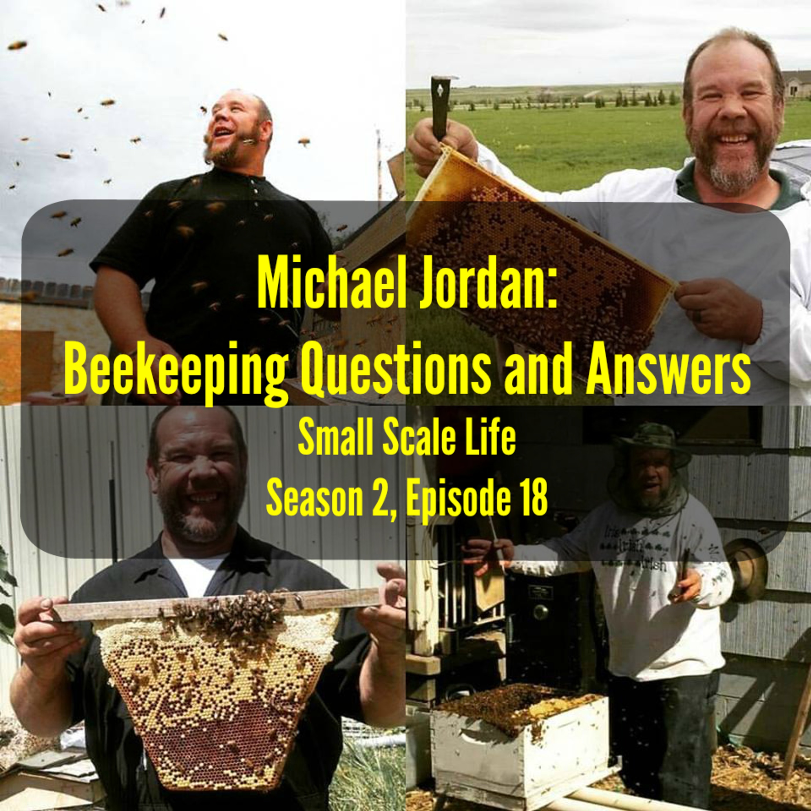 Michael Jordan: Beekeeping Questions and Answers - S2E18