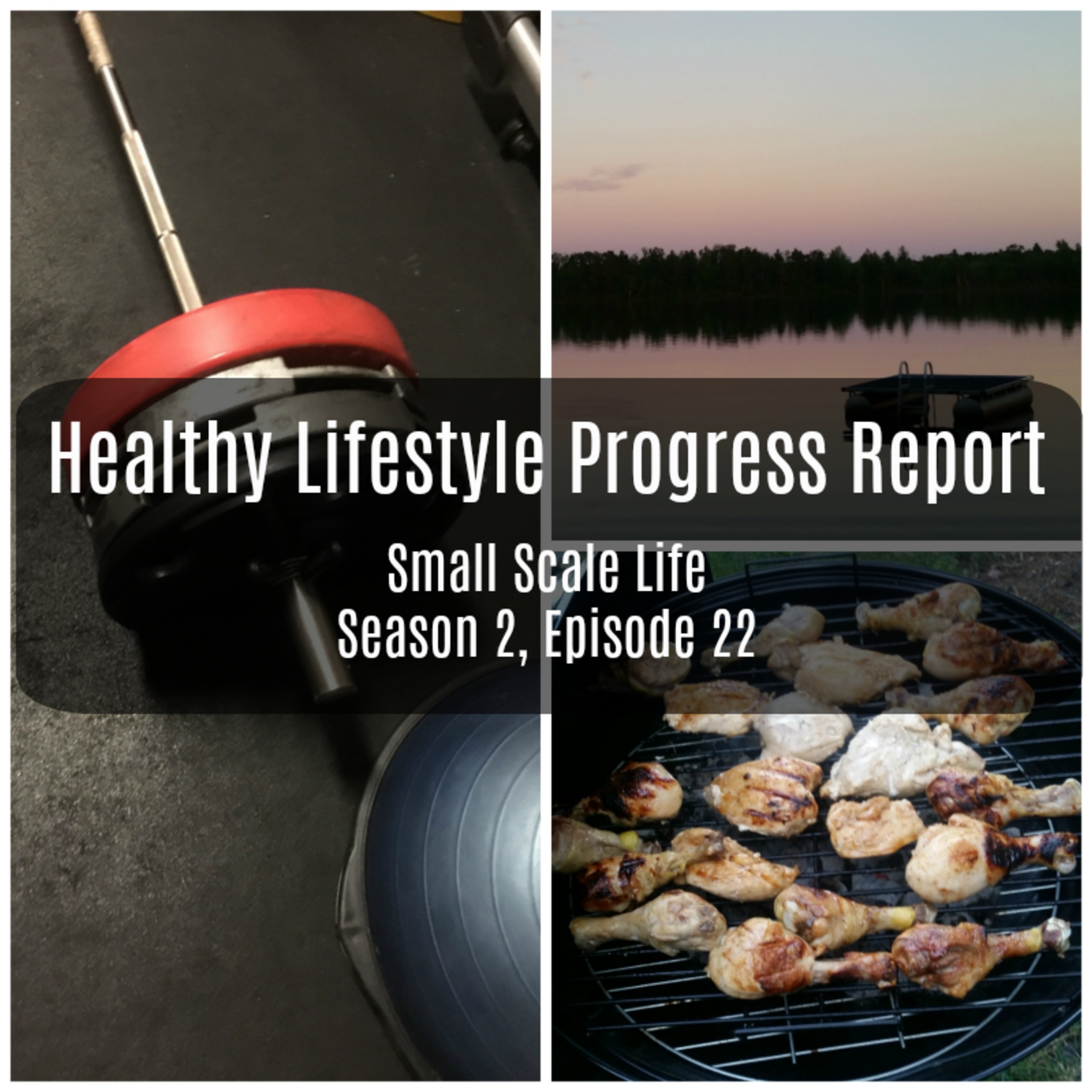 Healthy Lifestyle Progress Report - S2E22