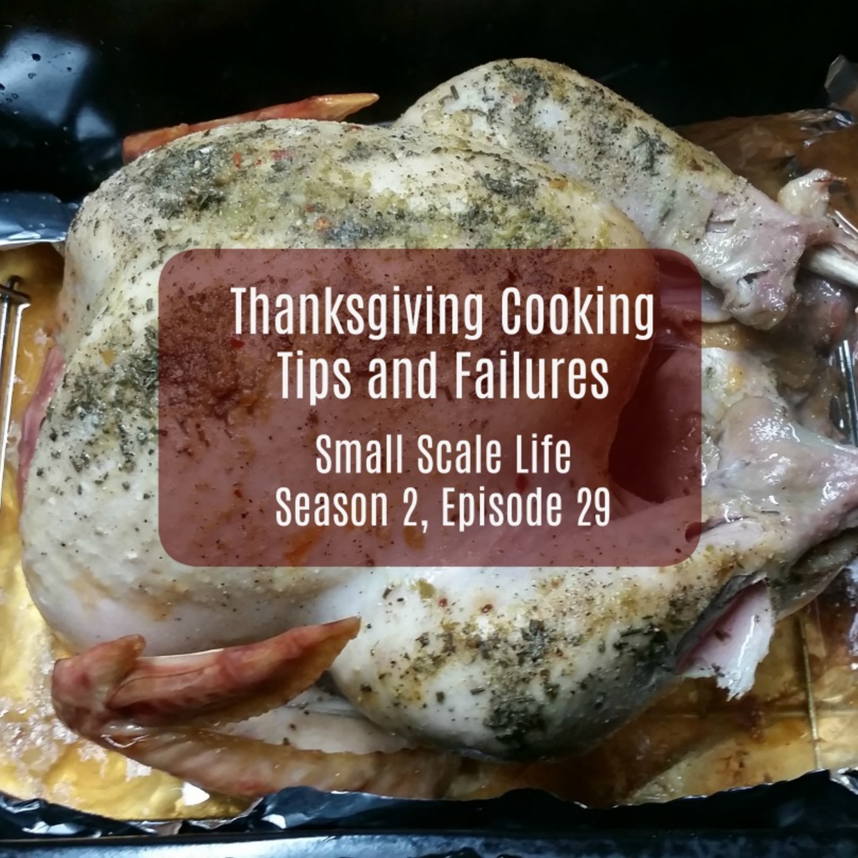 Thanksgiving Cooking Tips and Failures - S2E29