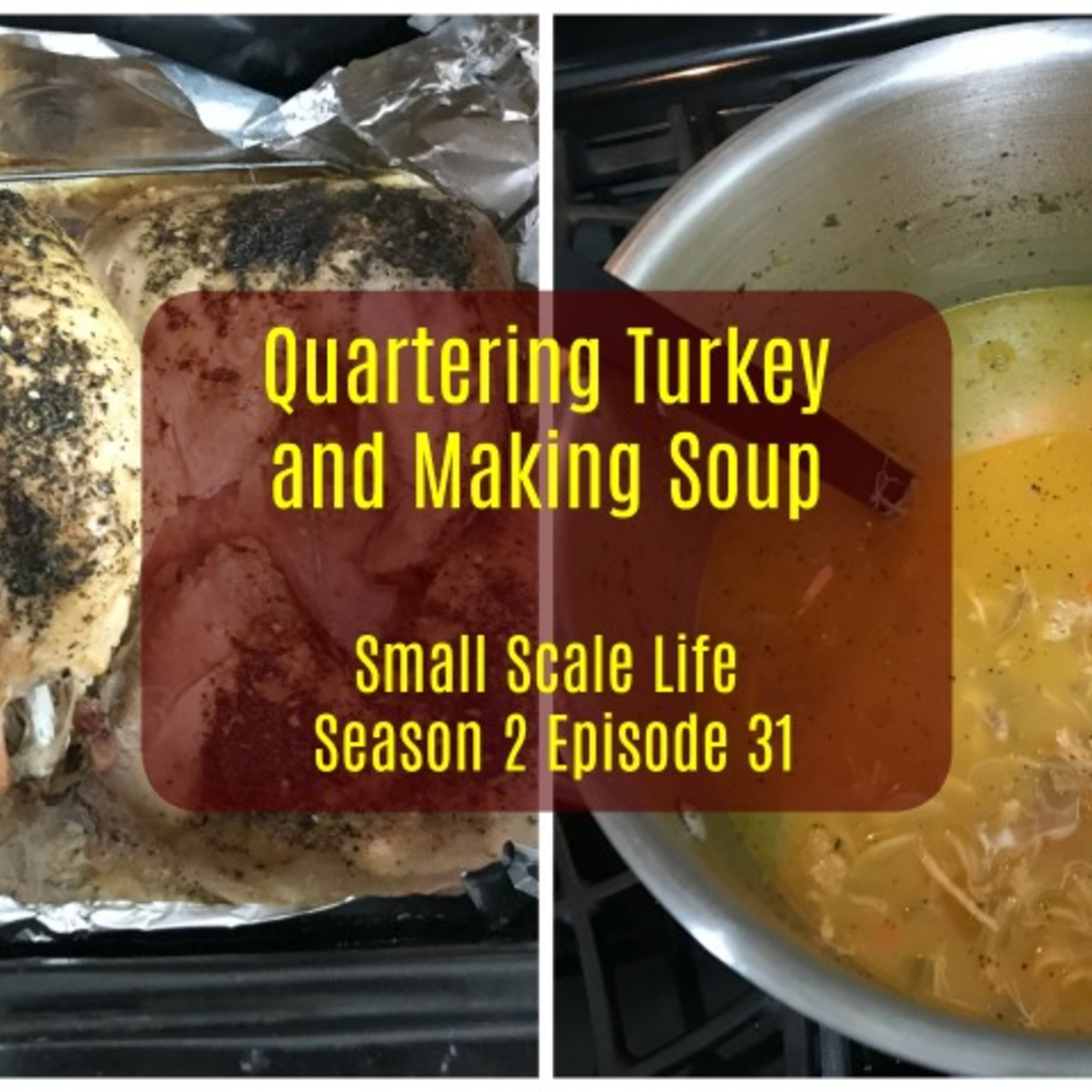 Cooking Turkey and Making Soup - S2E31