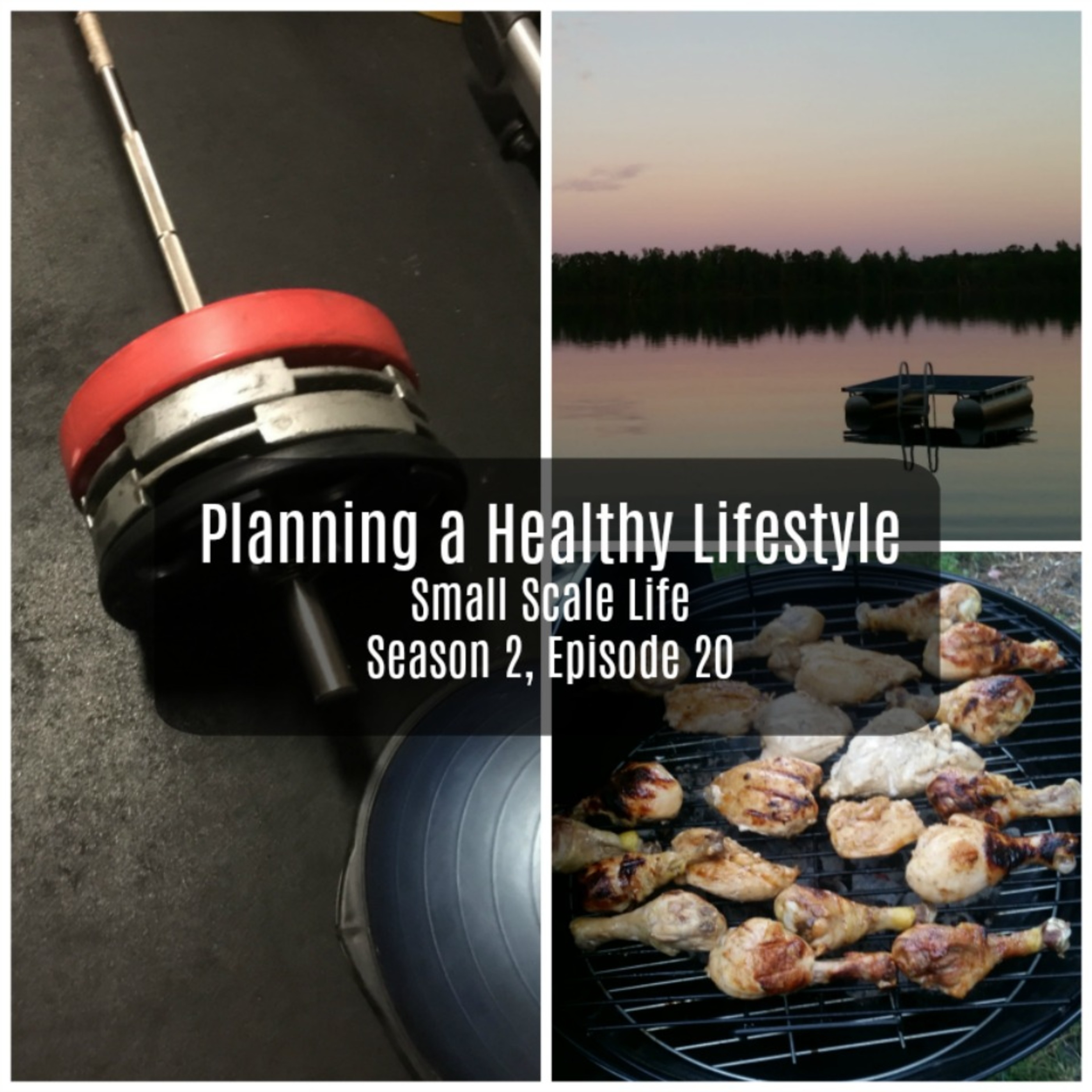 Planning a Healthy Lifestyle - S2E20