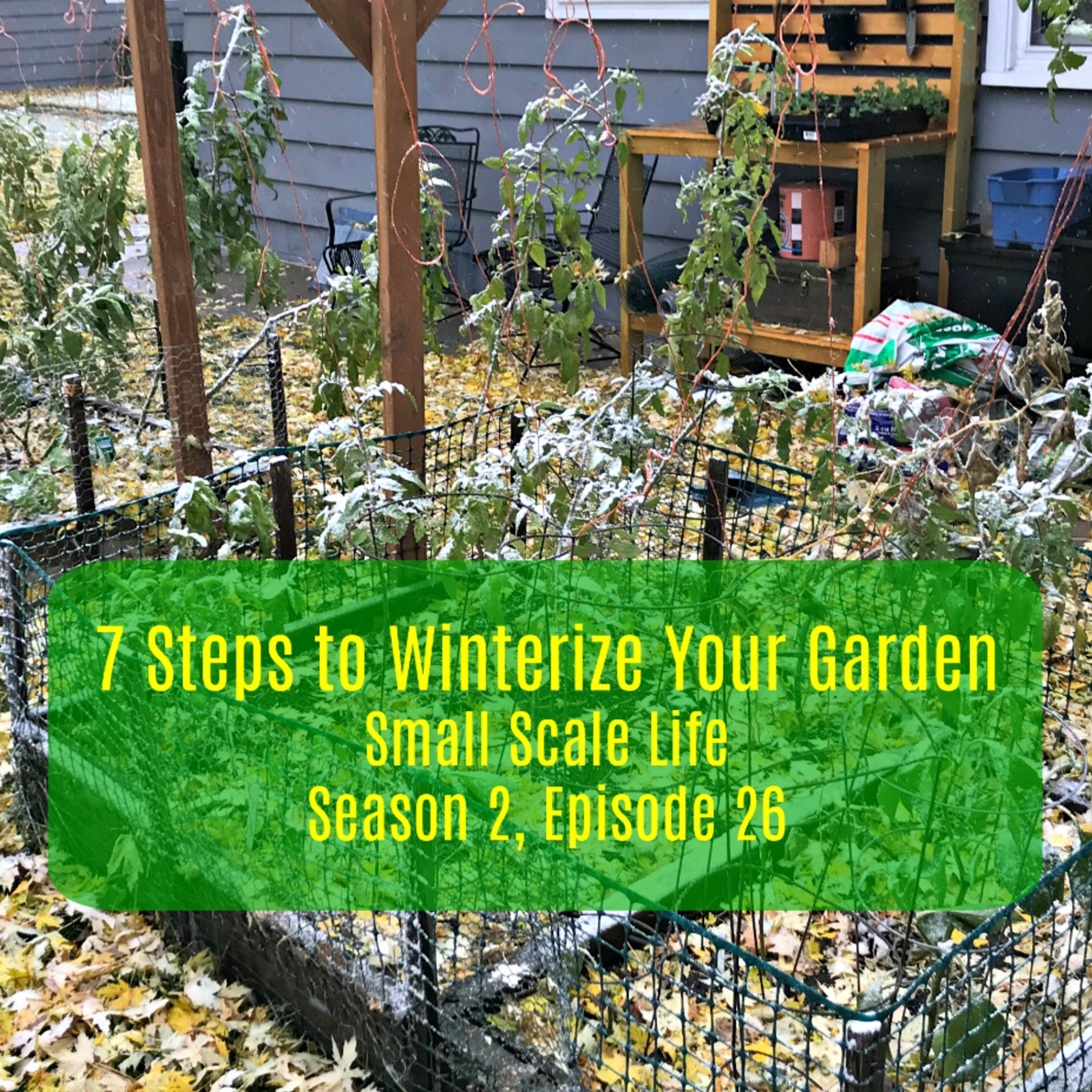 7 Steps to Winterize Your Garden - S2E26