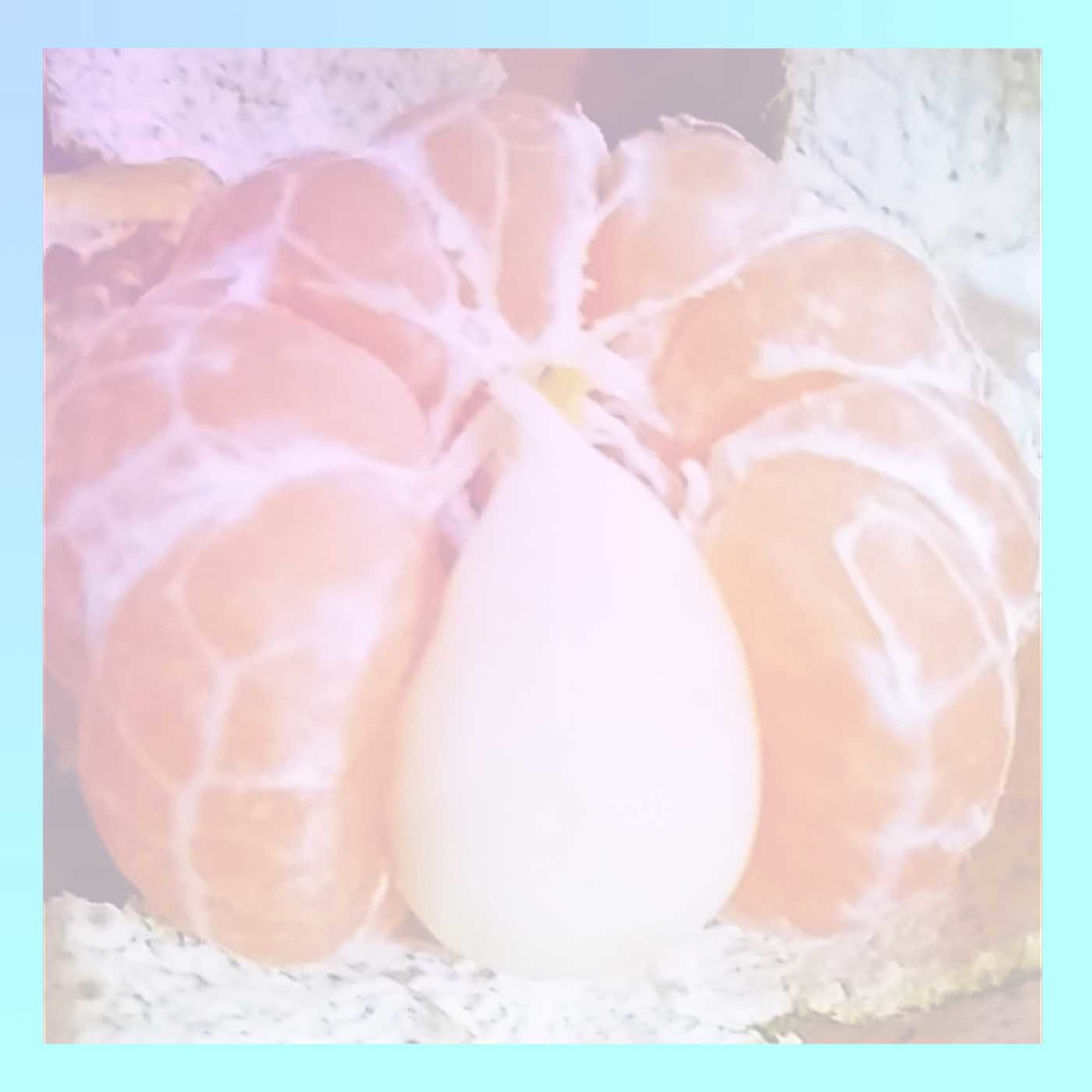 在海外的工作姬