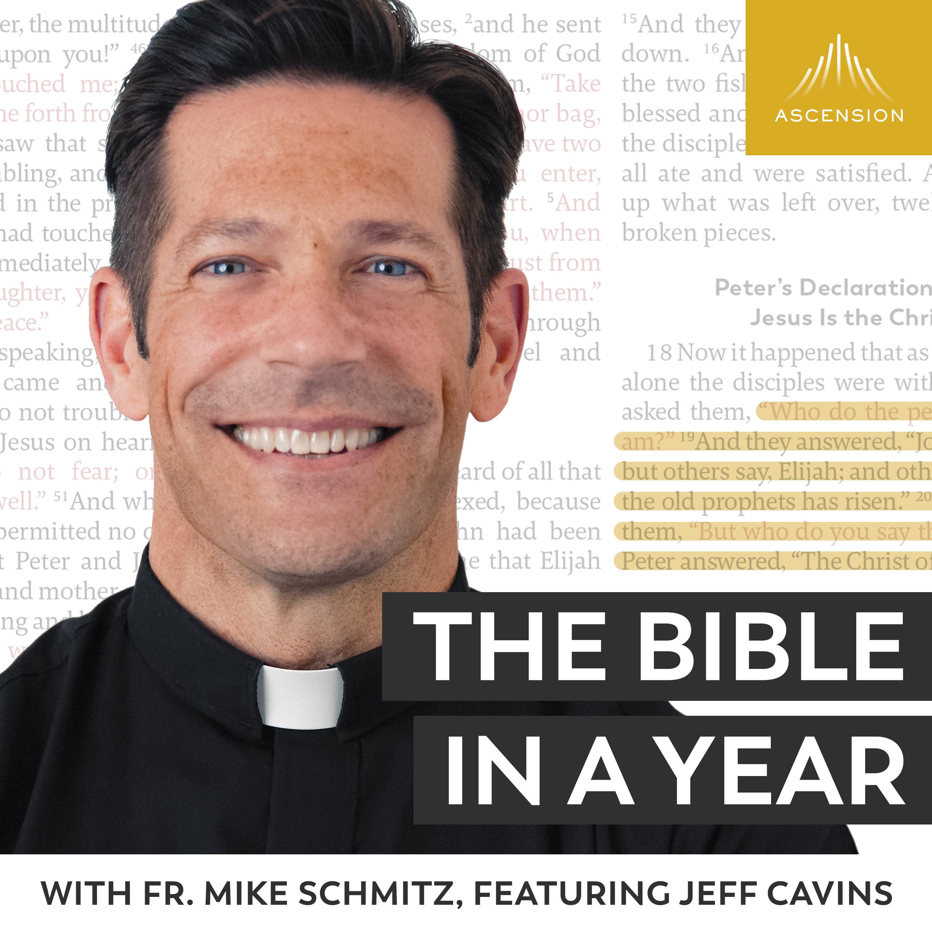 Father mike schmitz bible in a year day 2