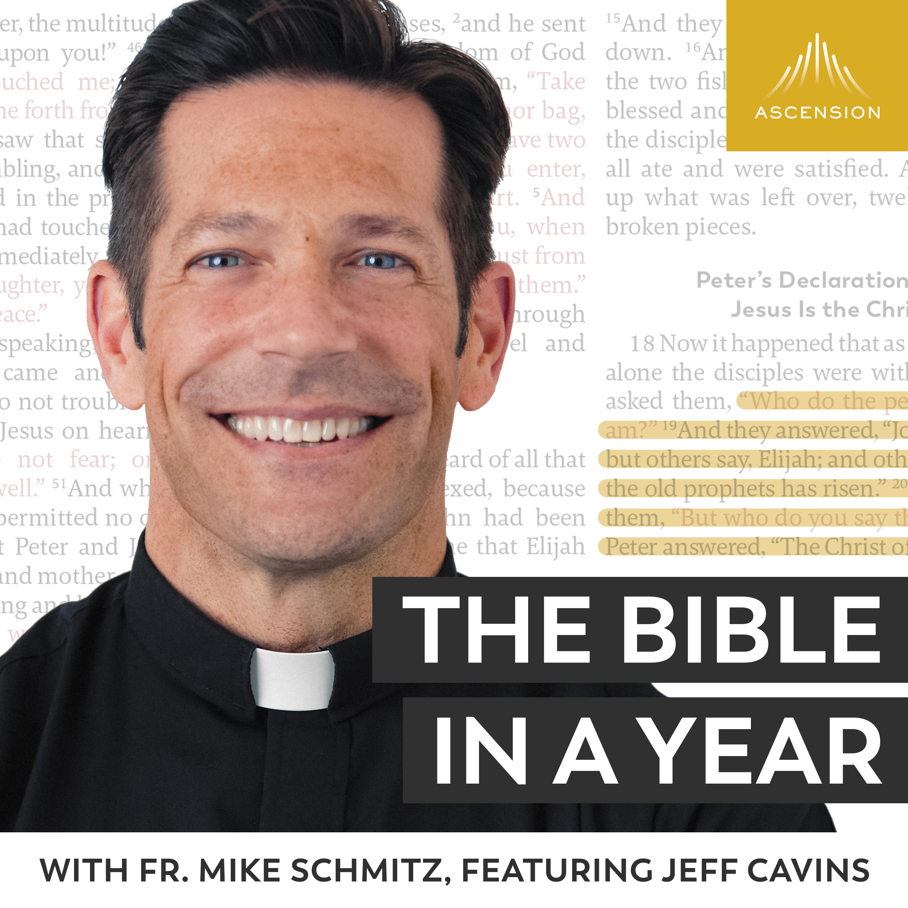 Mike Schmitz) - via Podcast Addict | Fr. 