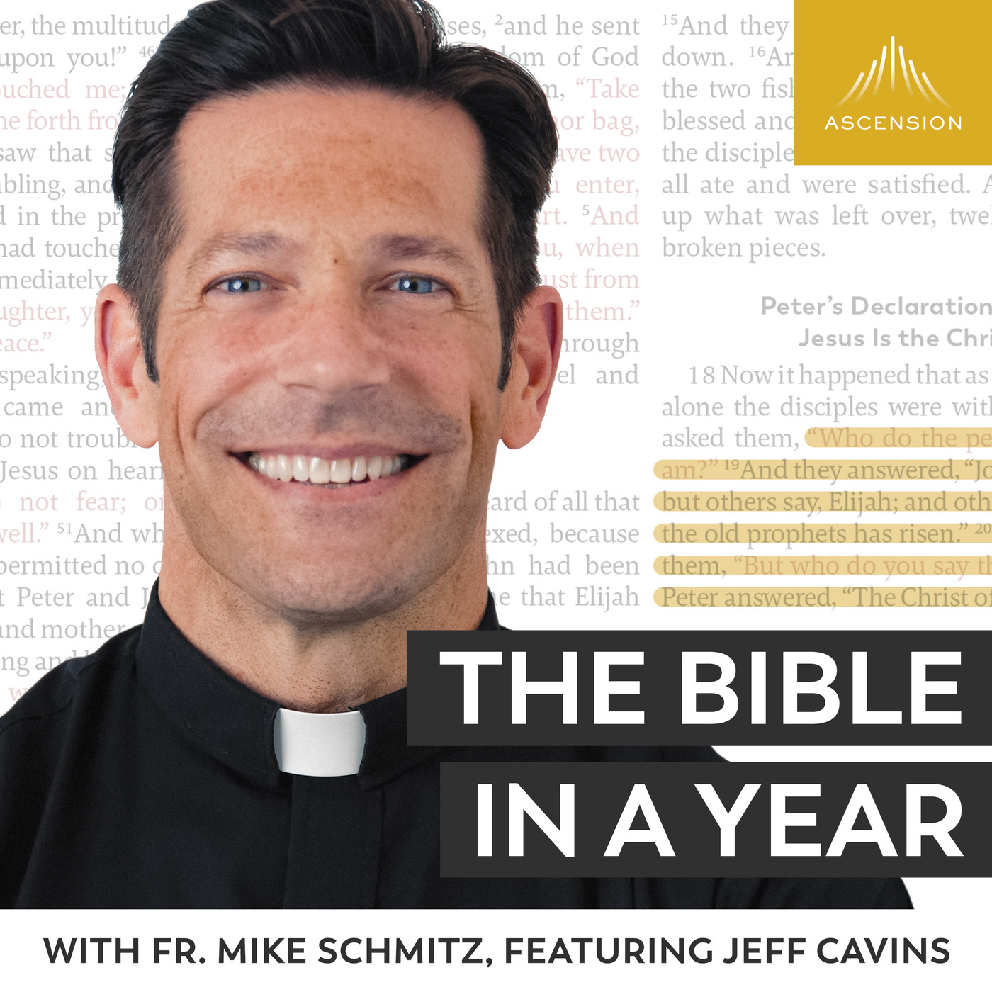 The Bible in a Year (with Fr. Mike Schmitz): Day 270: God's Favor with Ezra (2023)