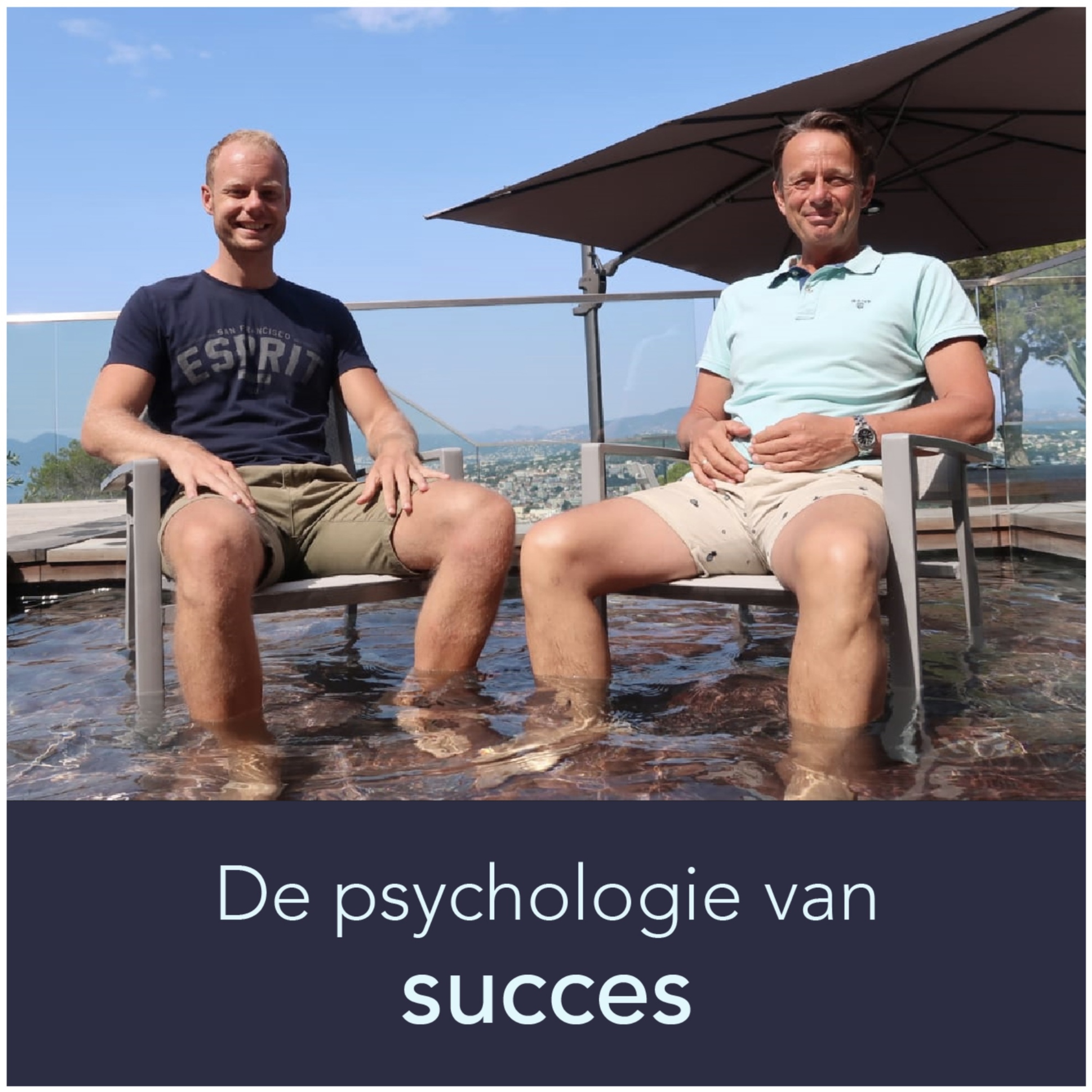 De Psychologie van Succes Podcast logo