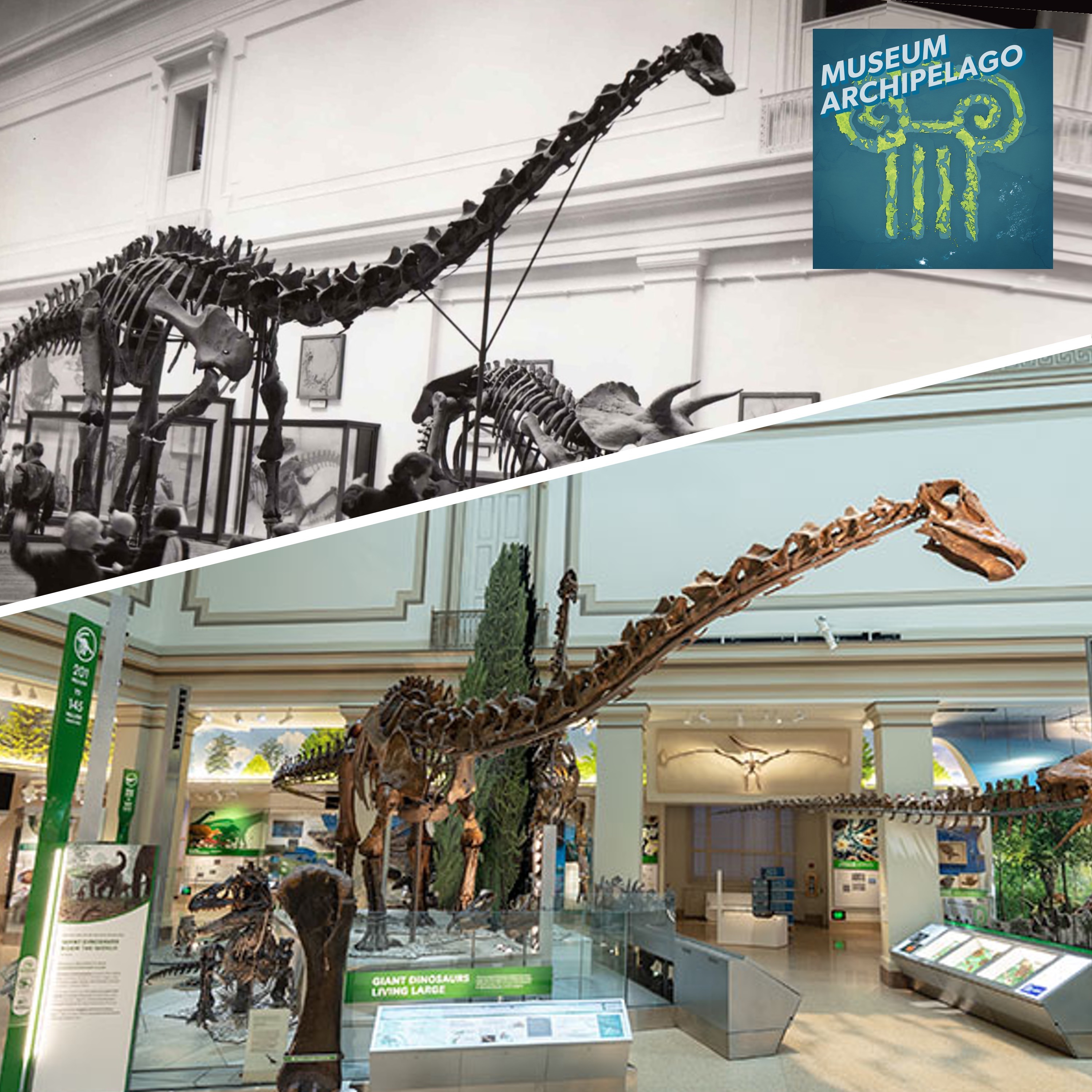 66. From ‘Extinct Monsters’ to ‘Deep Time’: A History of the Smithsonian Fossil Hall